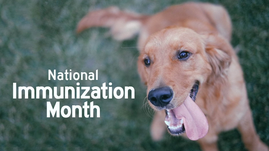 Happy National Immunization Awareness Month!