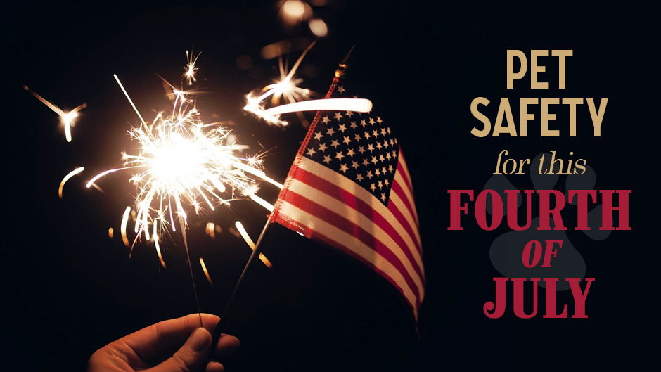 Pet Safety for this Fourth of July